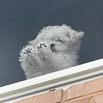 wal_poco's profile picture. 🩵