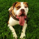 Jeff Steinke - @CloudSME - Twitter