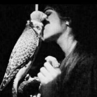 أمـيـره (@18amirahh) 's Twitter Profile