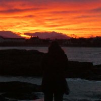 Sarah L (@s4r4h_l) 's Twitter Profile Photo Sarah L (@s4r4h_l) 's Twitter Profile Photo
