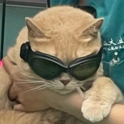 IIIllIllllIIllI's profile picture. step 1. Do my highlight