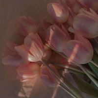 وسن (@wsnalqrny2_11) Twitter profile photo