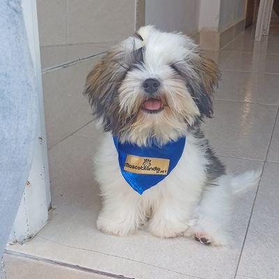 EnriqueRod33660's profile picture. 