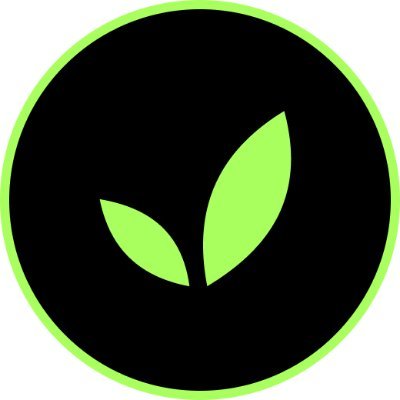 DevelopiosA's profile picture. CRO & SEO Focused Web Design | SAAS Products | UX UI Design |
