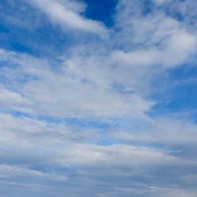 zyxwv____98765's profile picture. 