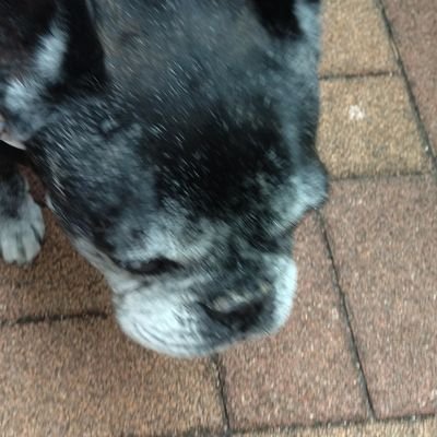 sanapetchi's profile picture. いつかは晴れる
🌦️でしょう