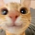 I rather jump off a cliff (@shyannwill23362) Twitter profile photo I rather jump off a cliff (@shyannwill23362) Twitter profile photo