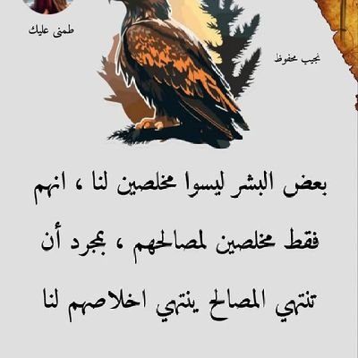 mhmdahmdaldby2's profile picture. مهلنيش