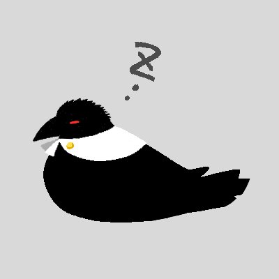 koracoは青空にいるさんのプロフィール画像