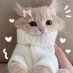 gennie (@nanabuni8) Twitter profile photo gennie (@nanabuni8) Twitter profile photo