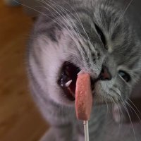 Çiğdem (@cigdembala) 's Twitter Profile Photo