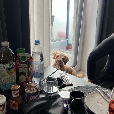 Folge meinem neuen Account, der alte wurde gehackt