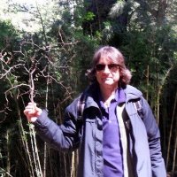 Eduardo Claudio Gómez (@edugomez03) 's Twitter Profile