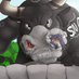 (Stier)_The_Chubby_Norse_Bull !!! (@stierthe) Twitter profile photo (Stier)_The_Chubby_Norse_Bull !!! (@stierthe) Twitter profile photo