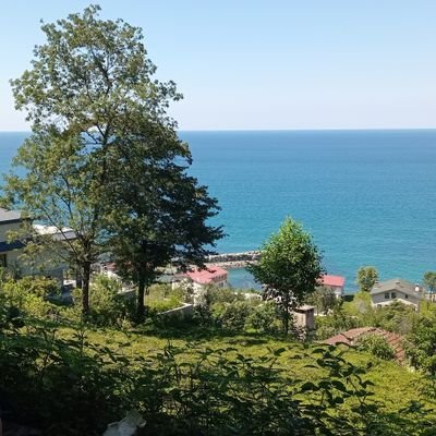 Besikta_53's profile picture. 