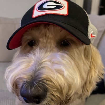 joeyellis23's profile picture. 