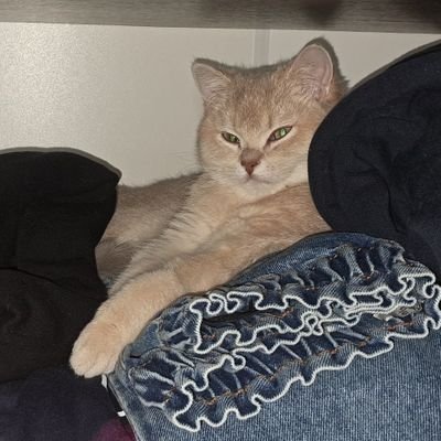 Urij94959526's profile picture. 