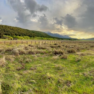 1CryptoMinnow's profile picture. 