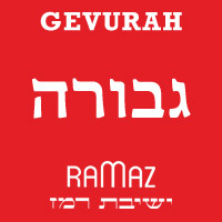 We are the freshmen of 2012! We represent strength; in unity, protest, and friendship. Please follow us to help us win our color war! #RedTeam #TeamGevurah