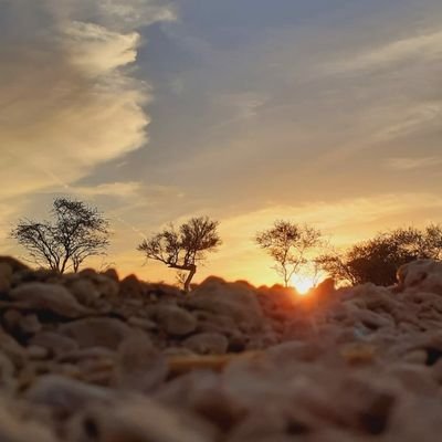 fahadalshehri33's profile picture. وَأْمُرْ أَهْلَكَ بِالصَّلَاةِ وَاصْطَبِرْ عَلَيْهَا ۖ لَا نَسْأَلُكَ رِزْقًا ۖ نَّحْنُ نَرْزُقُكَ ۗ وَالْعَاقِبَةُ لِلتَّقْوَىٰ (132)

سورة طه