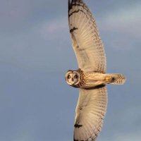 Harry B (@harrybe266238) 's Twitter Profile