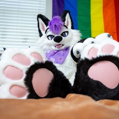 LavyMurr's profile picture. Pan/Top Leaning/Pawslut

All about those fursuit paws 🐾