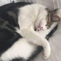 Jade (@cvzyesim) Twitter profile photo