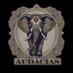 Audácias (@_audacias_) Twitter profile photo Audácias (@_audacias_) Twitter profile photo