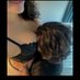 Tamaya๐ซ (@tampromos) Twitter profile photo Tamaya๐ซ (@tampromos) Twitter profile photo