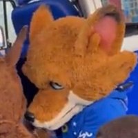 Gabriel🇫🇲ᶜᵉᶜ (@gabrielluizzz_) 's Twitter Profile Photo Gabriel🇫🇲ᶜᵉᶜ (@gabrielluizzz_) 's Twitter Profile Photo