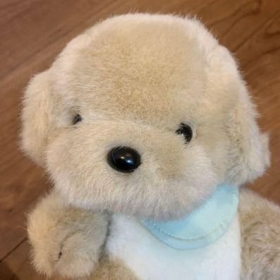 stuffiepuppy's profile picture. puppy 🐾 | he / him / pup / wuff | i like the rain and mud | i like making friends !