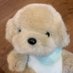 puppy (@stuffiepuppy) Twitter profile photo puppy (@stuffiepuppy) Twitter profile photo