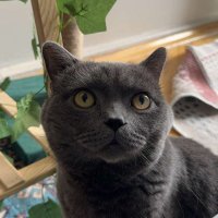 ismeth (@ismeth21) Twitter profile photo