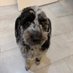 PBWL in ID (@cori82784181) Twitter profile photo PBWL in ID (@cori82784181) Twitter profile photo