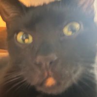 j (@jpickle_16) 's Twitter Profile