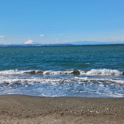 syaitou00512's profile picture. 