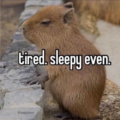 sircu1233's profile picture. 