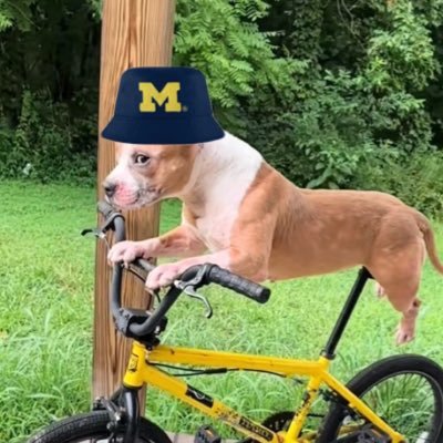 Str8Bluntt's profile picture. 〽️ Detroit sports fan. Jared hater. sherrone hater.