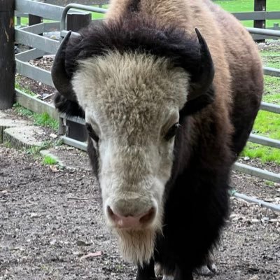 GrokitData's profile picture. Tech entrepreneur developing an autonomation platform for the age of autonomy