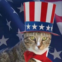 Trump's New Era🦅MAGA🇺🇸 (@trumpmagic9) 's Twitter Profile