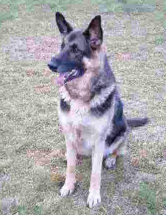 cotygirl's profile picture. #Resist, #OLTL, #AMC, #GH, #YR, #DAYS