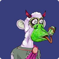 Donny ₿ullish 🍌 🦍 (@donnybullish) 's Twitter Profile Photo Donny ₿ullish 🍌 🦍 (@donnybullish) 's Twitter Profile Photo