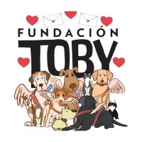 Fundación Toby (@fundaciontoby) 's Twitter Profile