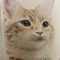むちまるの日常 (@shinnyouno) Twitter profile photo