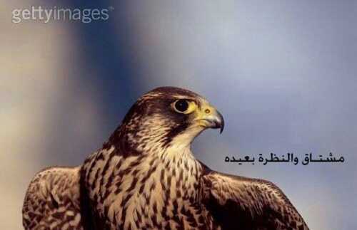 استغفر الله واتوب إليه