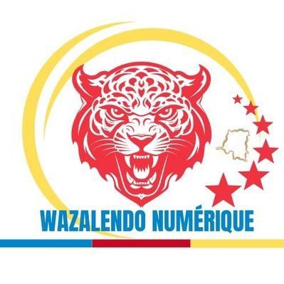 WazaFardc's profile picture. wazalendo numérique, 🇨🇩congo mon pays , FARDC mon armée , ne jamais trahir le congo