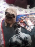 I'M ORTONLOVER QUEEN OF HEARTS BEEN A WRESTLING FAN FOR 30YEARS