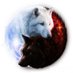 Mrs. Grey Wolf ๐บ (@mrsgreywolf069) Twitter profile photo Mrs. Grey Wolf ๐บ (@mrsgreywolf069) Twitter profile photo