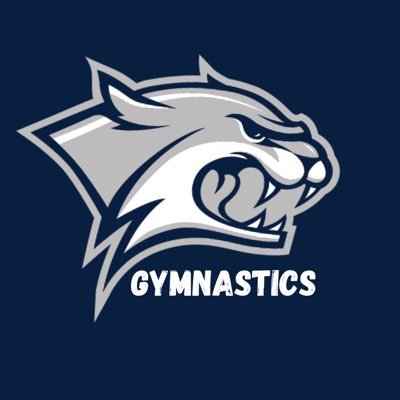 UNH Gymnastics Profile