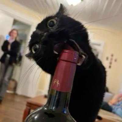 csttstars's profile picture. personagem de drama psicológico mal escrito